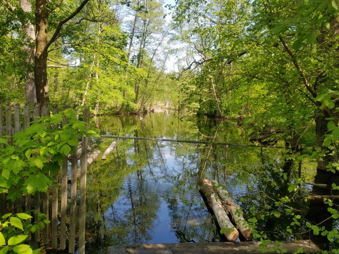 Unterwegs auf Bilderreise in einer tierisch gestalteten Landschaft